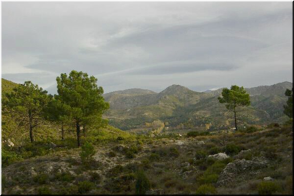 Driving to Granada we saw a lot of scenery like this.