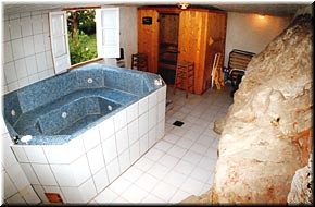 Basement sauna/laundry room. The jacuzzi didn't work, but the sauna did. That's a chunk of native rock in the foreground.