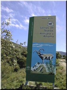 The Sierra de Tejeda national park and nature reserve covers a lot of the west side of the range.