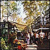 Barcelona - Flower stalls on Las Ramblas