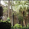 The cloister in the middle is my favorite part of medieval churches. They always have fountains, but not always geese.