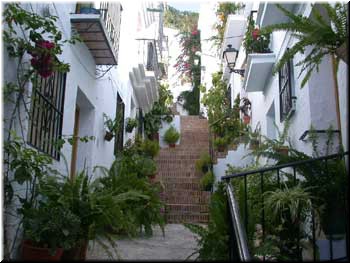 Old Frigiliana - plants are everywhere