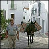 Frigiliana - Main Street in the old town - the only driving street in the old town (note lack of steps).