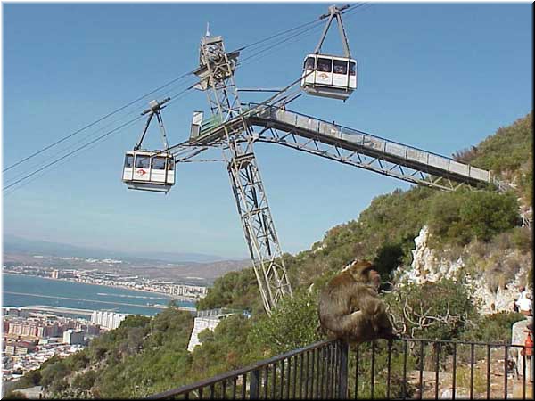 A friendly monkey watches us riding the cable car to the Top of the Rock.