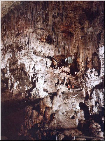 One of those photos they take when you enter the cave and try to sell you later. That's somebody else, not us. Could you tell?